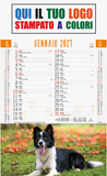 Calendario illustrato 2027 CANI E GATTI