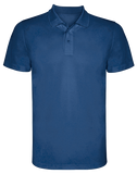 Polo tecnica