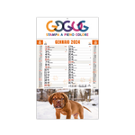 Calendario illustrato Cani e Gatti