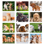 Calendario illustrato Slim Cani e Gatti