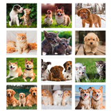 Calendario illustrato Slim Cani e Gatti