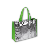 Shopper in TNT laminato art. L con soffietto colorato